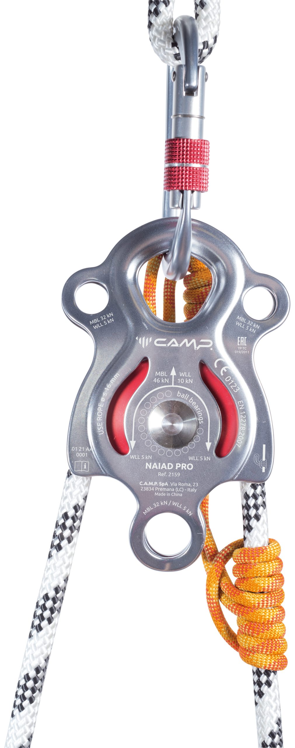 NAIAD - Image 5